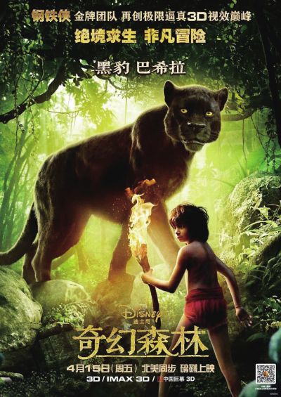 罗马人体运动大学国际商务文凭证书